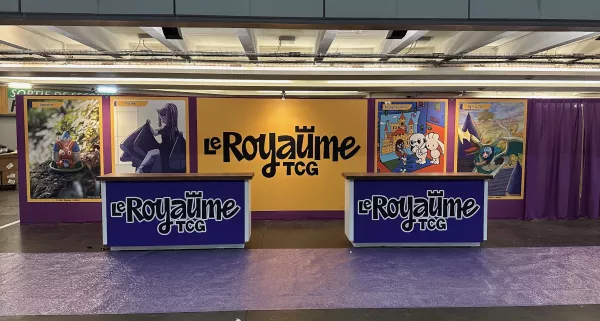 INSTALLATION GENERALE 100 STANDS A VILLEPINTE